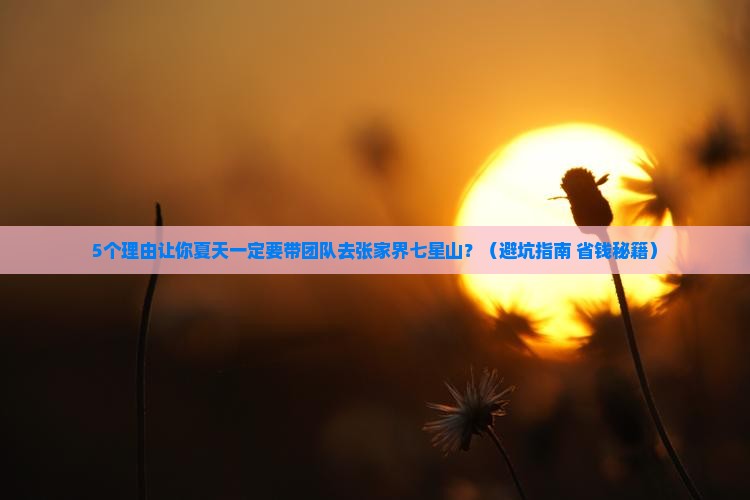 夏天到张家界七星山团体旅游
