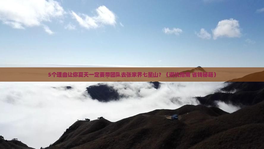夏天到张家界七星山团体旅游