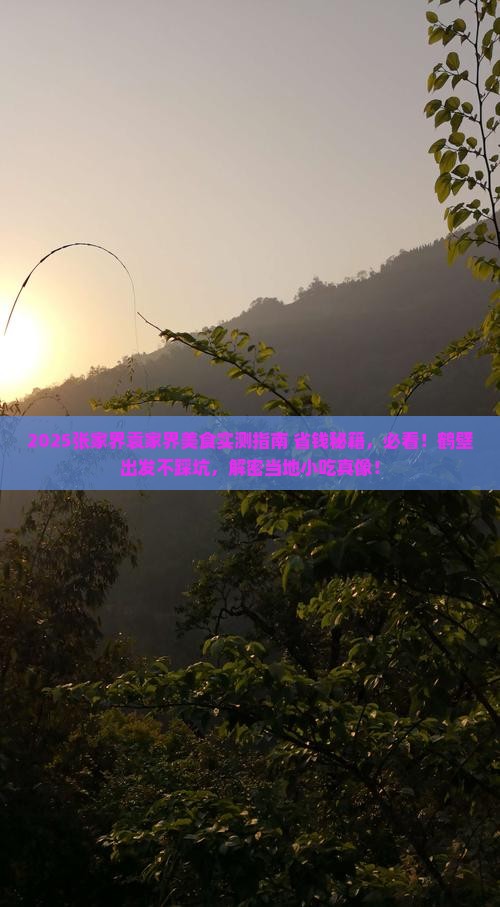 鹤壁到张家界袁家界旅游小吃