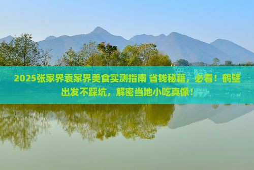 鹤壁到张家界袁家界旅游小吃