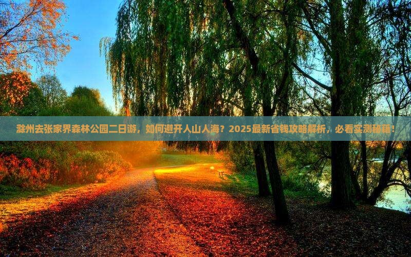 滁州去张家界森林公园二日游