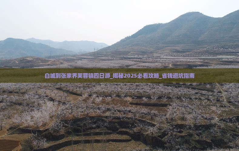 白城到张家界芙蓉镇四日游