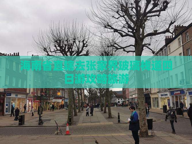 海南省直辖去张家界玻璃栈道四日游