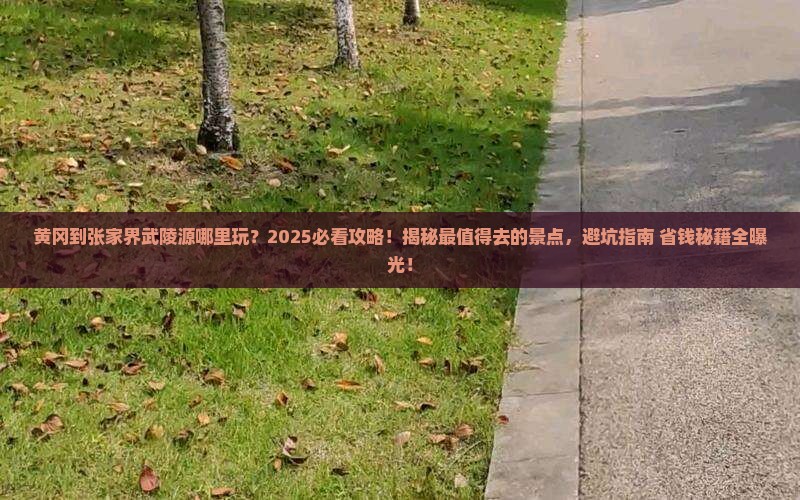 黄冈到张家界武陵源哪里玩