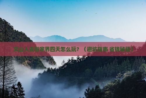 文山去张家界四日游