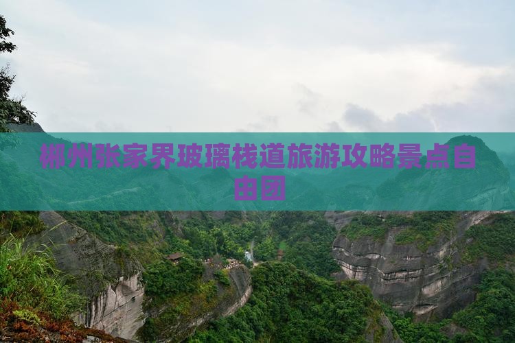 郴州去张家界玻璃栈道自由团