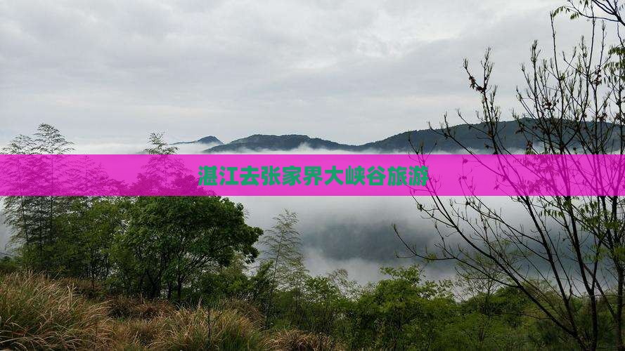 湛江去张家界大峡谷旅游