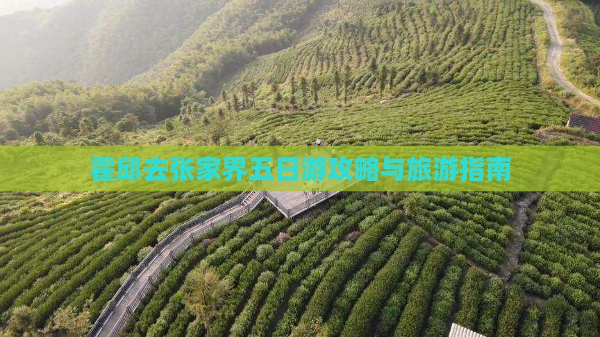 霍邱去张家界五日游