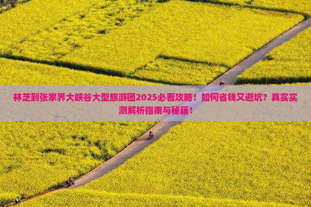 林芝到张家界大峡谷大型旅游团