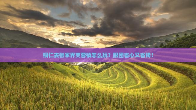 铜仁去张家界芙蓉镇旅行社