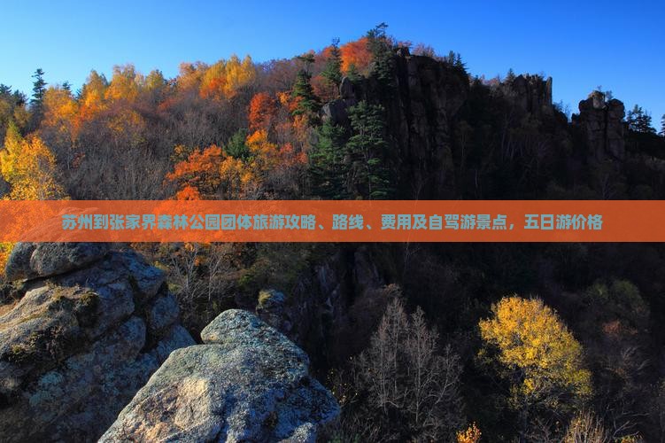 苏州到张家界森林公园团体旅游