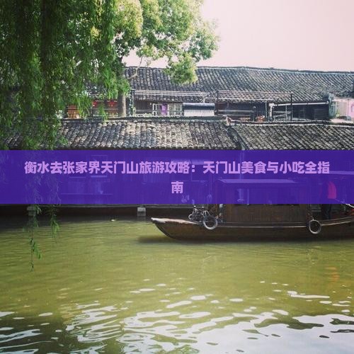 衡水去张家界天门山旅游小吃