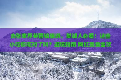 巢湖去张家界芙蓉镇旅游小吃