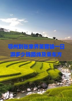 鄂州到张家界芙蓉镇一日