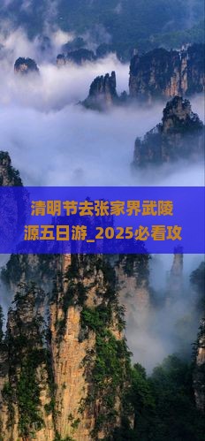 清明节去张家界武陵源五日游