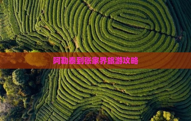 阿勒泰到张家界袁家界攻略