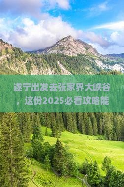 遂宁去张家界大峡谷旅行社
