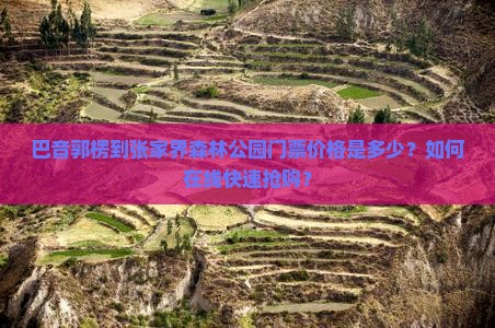 巴音郭楞到张家界森林公园门票价格是多少？如何在线快速抢购？