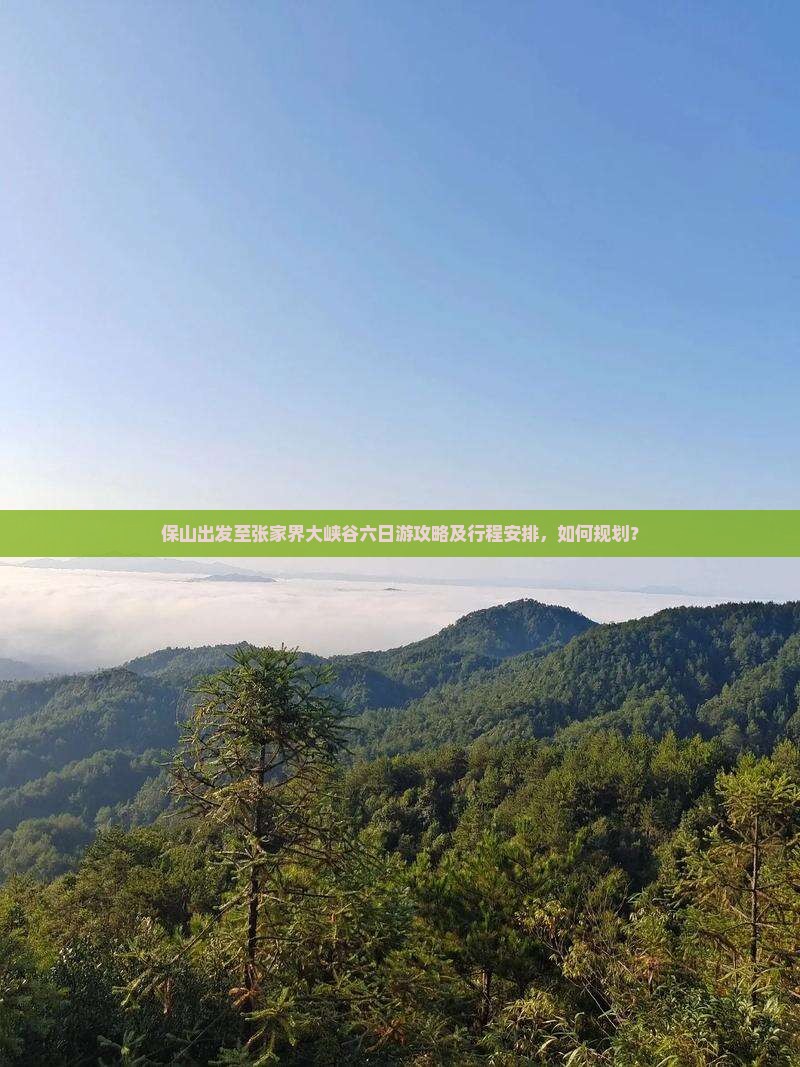 保山出发至张家界大峡谷六日游攻略及行程安排，如何规划？