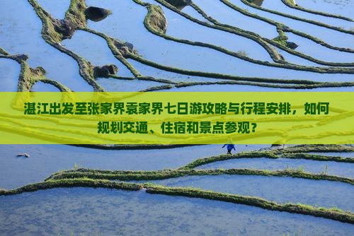 湛江出发至张家界袁家界七日游攻略与行程安排，如何规划交通、住宿和景点参观？