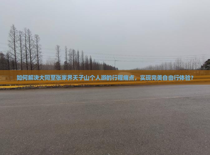 如何解决大同至张家界天子山个人游的行程痛点，实现完美自由行体验？