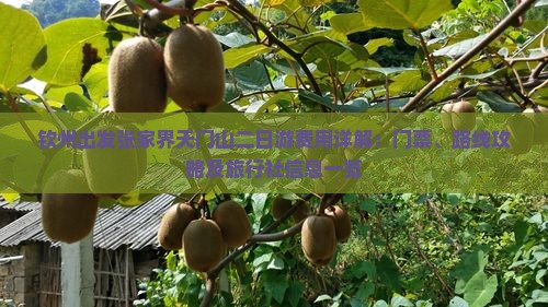 钦州出发张家界天门山二日游费用详解：门票、路线攻略及旅行社信息一览
