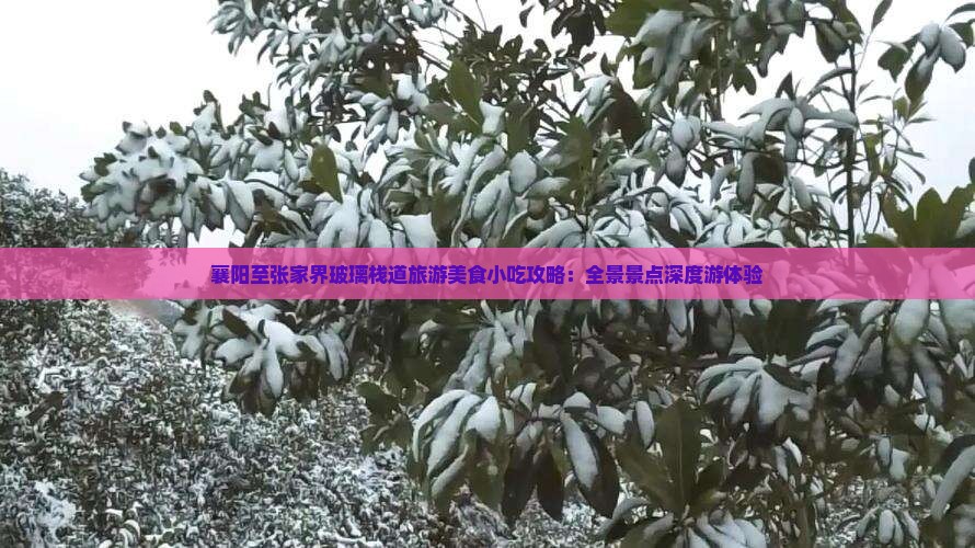 襄阳至张家界玻璃栈道旅游美食小吃攻略：全景景点深度游体验