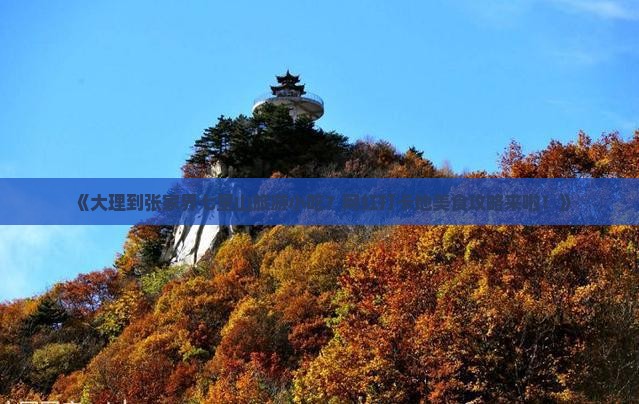 《大理到张家界七星山旅游小吃？网红打卡地美食攻略来啦！》