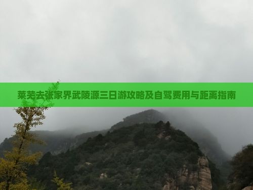莱芜去张家界武陵源三日游攻略及自驾费用与距离指南