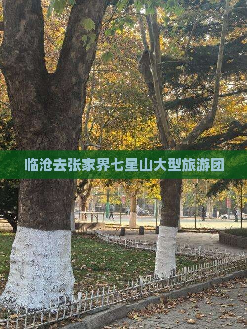 临沧去张家界七星山大型旅游团