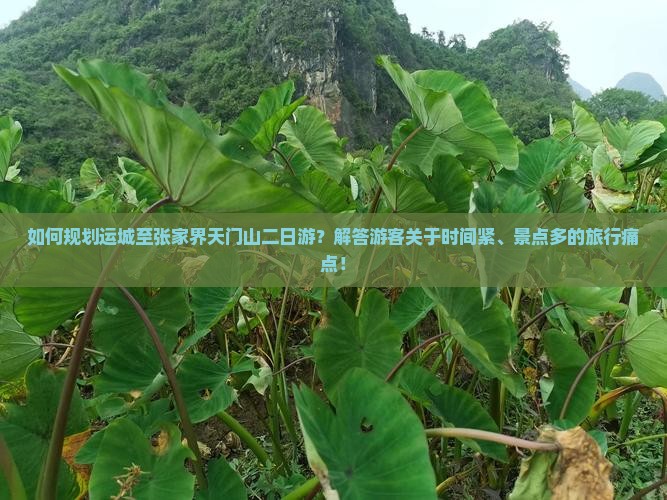 如何规划运城至张家界天门山二日游？解答游客关于时间紧、景点多的旅行痛点！