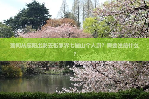 如何从咸阳出发去张家界七星山个人游？需要注意什么？