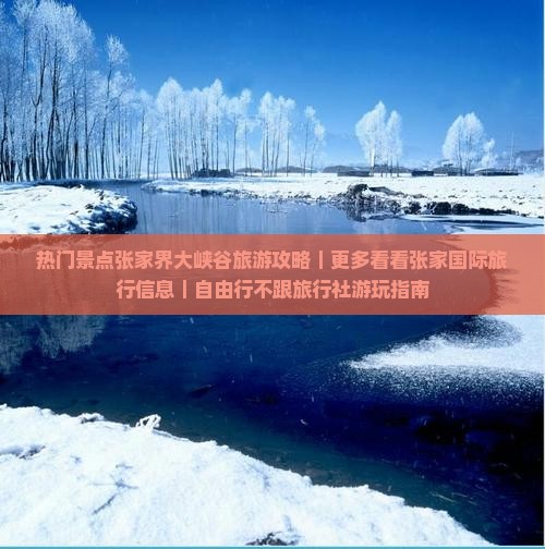 热门景点张家界大峡谷旅游攻略｜更多看看张家国际旅行信息｜自由行不跟旅行社游玩指南