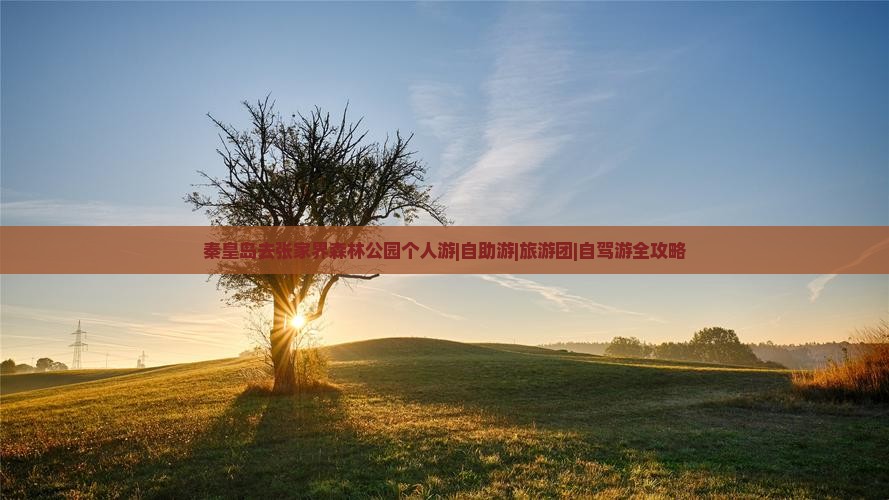 秦皇岛去张家界森林公园个人游|自助游|旅游团|自驾游全攻略