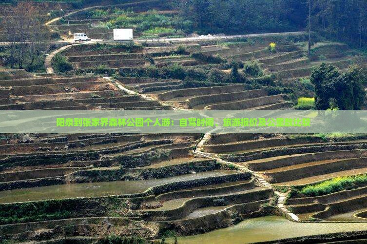 阳泉到张家界森林公园个人游：自驾时间、旅游报价及公里数比较
