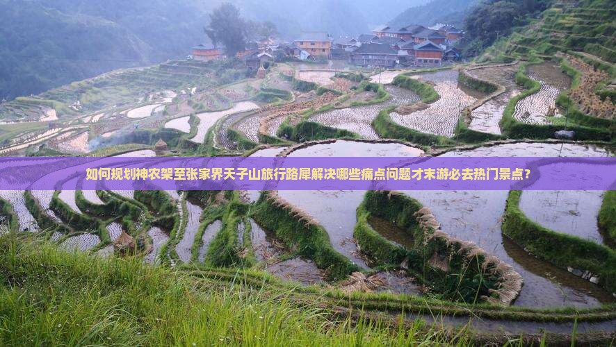 如何规划神农架至张家界天子山旅行路犀解决哪些痛点问题才末游必去热门景点？