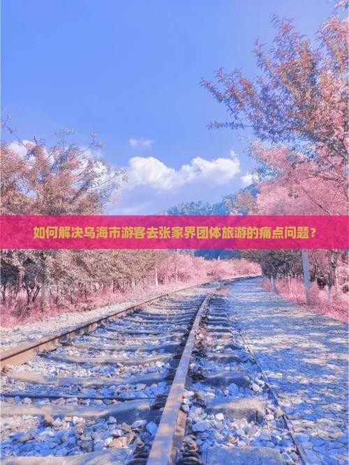 如何解决乌海市游客去张家界团体旅游的痛点问题？