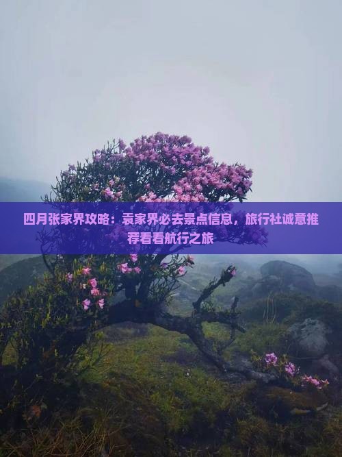 四月张家界攻略：袁家界必去景点信息，旅行社诚意推荐看看航行之旅