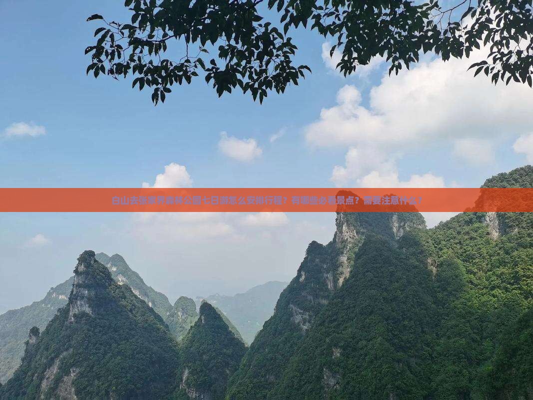 白山去张家界森林公园七日游怎么安排行程？有哪些必看景点？需要注意什么？