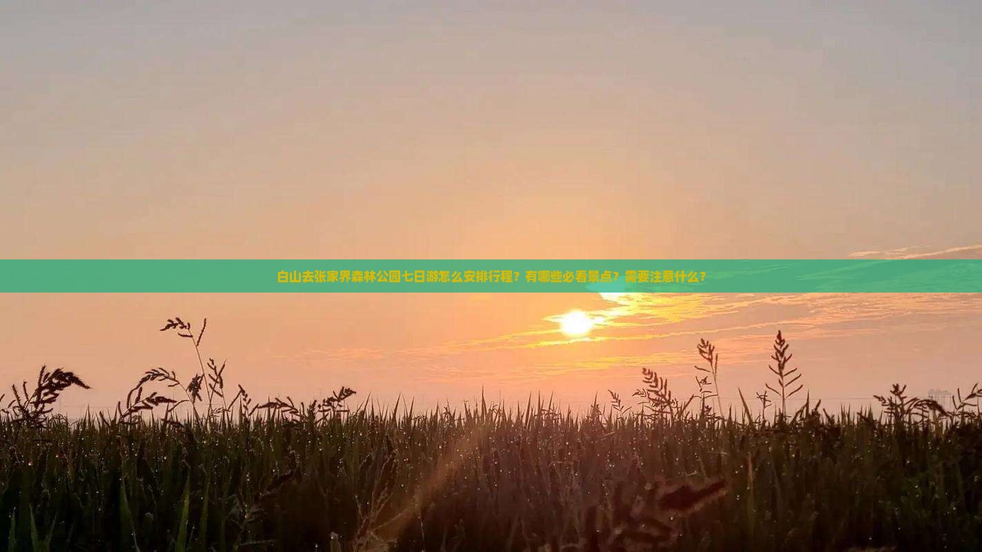 白山去张家界森林公园七日游怎么安排行程？有哪些必看景点？需要注意什么？