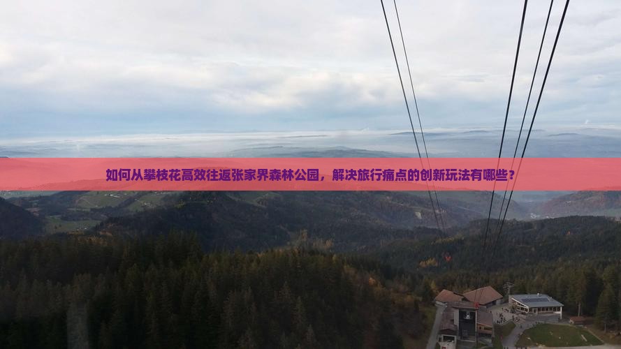 如何从攀枝花高效往返张家界森林公园，解决旅行痛点的创新玩法有哪些？