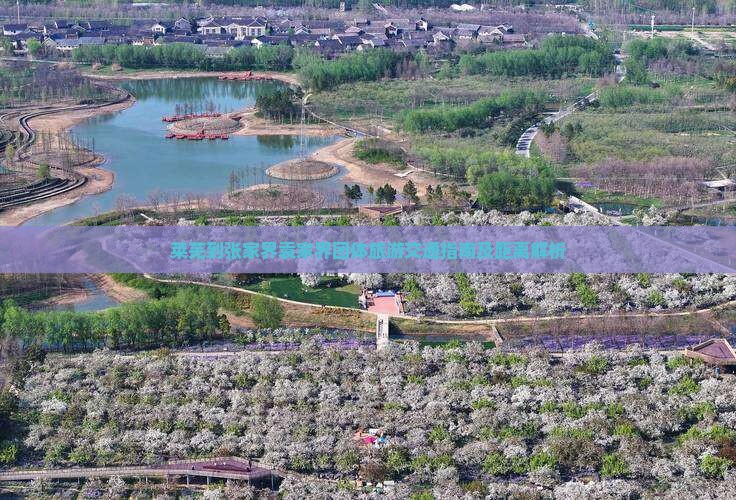 莱芜到张家界袁家界团体旅游交通指南及距离解析