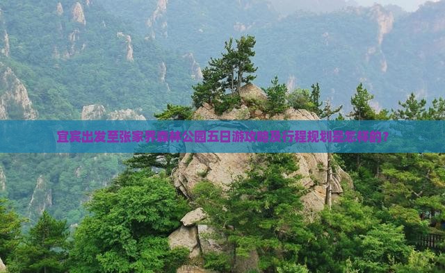 宜宾出发至张家界森林公园五日游攻略及行程规划是怎样的？
