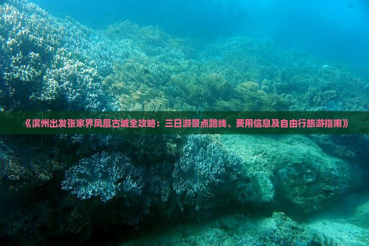 《滨州出发张家界凤凰古城全攻略：三日游景点路线、费用信息及自由行旅游指南》