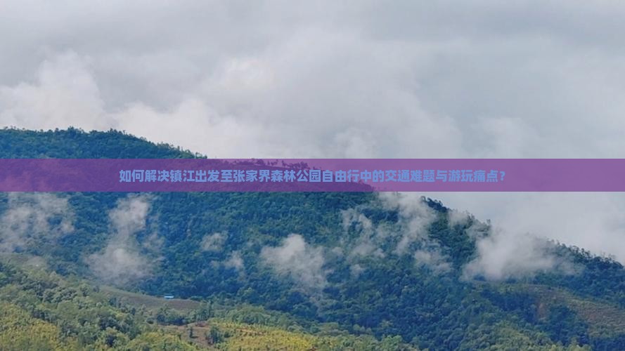 如何解决镇江出发至张家界森林公园自由行中的交通难题与游玩痛点？
