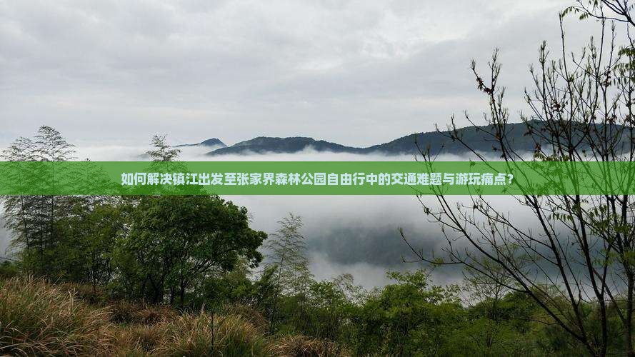 如何解决镇江出发至张家界森林公园自由行中的交通难题与游玩痛点？