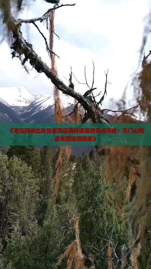 《克拉玛依出发张家界玻璃栈道旅游景点攻略：天门山栈道专题旅游指南》