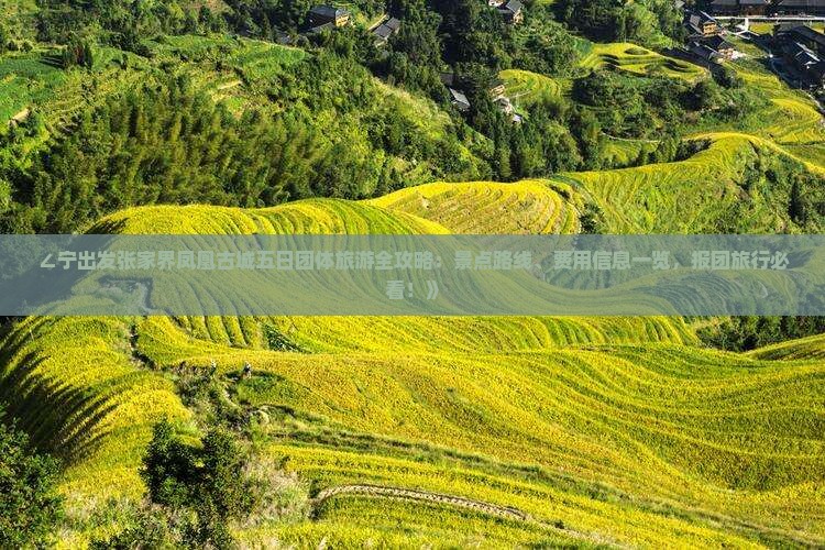 ∠宁出发张家界凤凰古城五日团体旅游全攻略：景点路线、费用信息一览，报团旅行必看！》