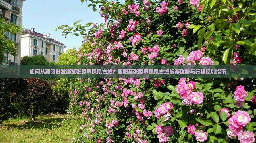 如何从襄阳出发游览张家界凤凰古城？襄阳至张家界凤凰古城旅游攻略与行程规划指南
