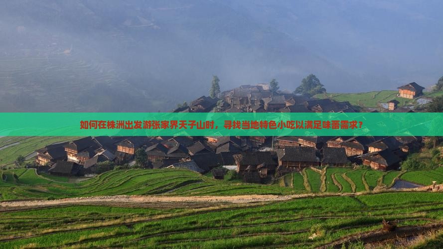 如何在株洲出发游张家界天子山时，寻找当地特色小吃以满足味蕾需求？